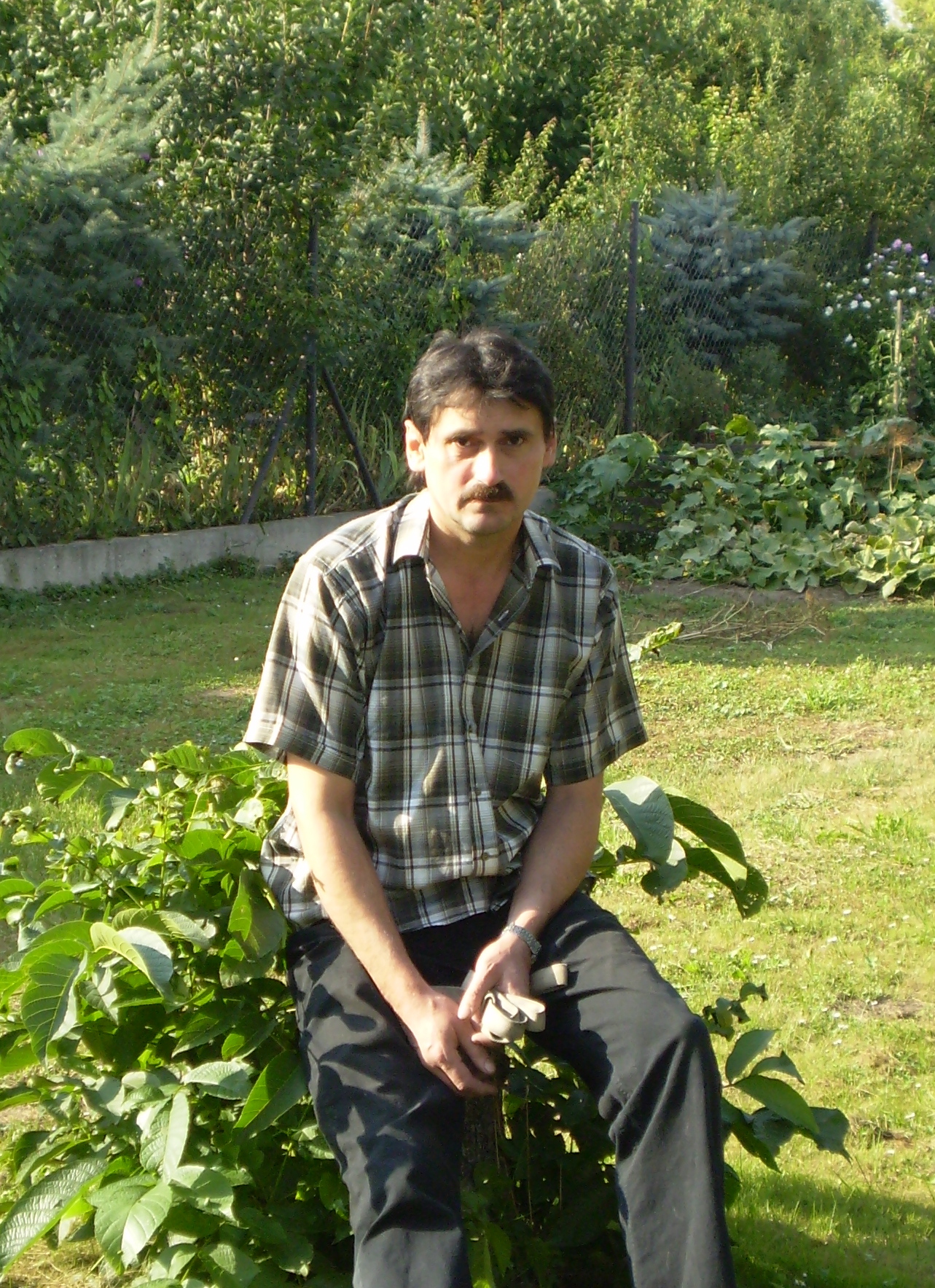 Na zahradě